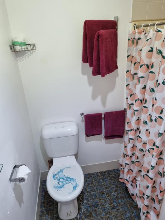 Taree Lodge Motel Ngoại thất bức ảnh